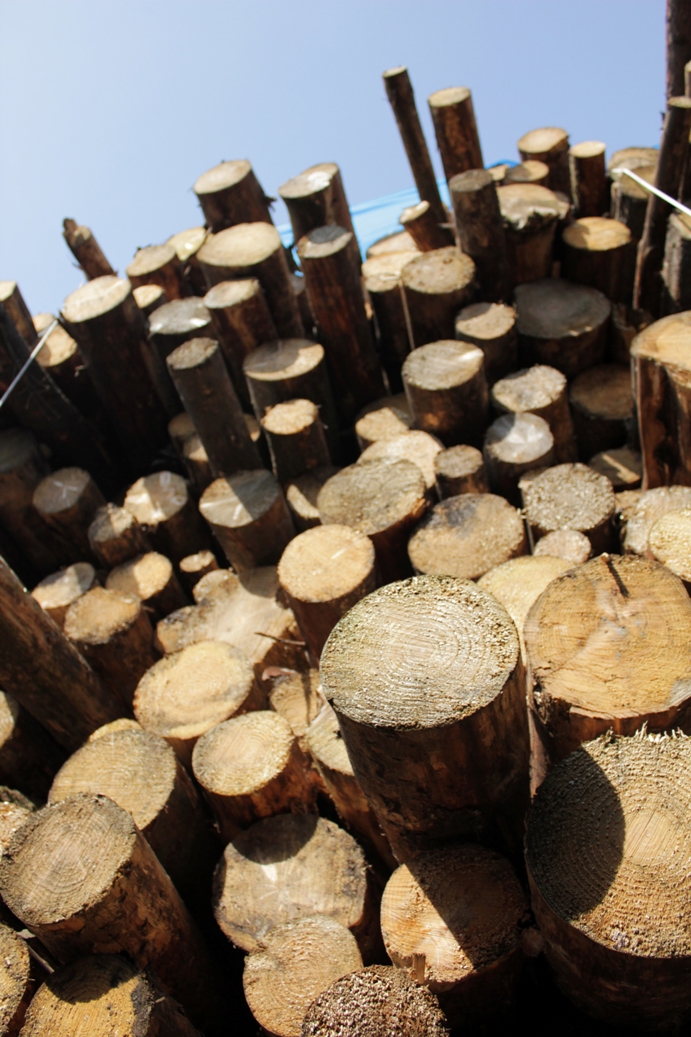 Air drying softwood for biomass chip