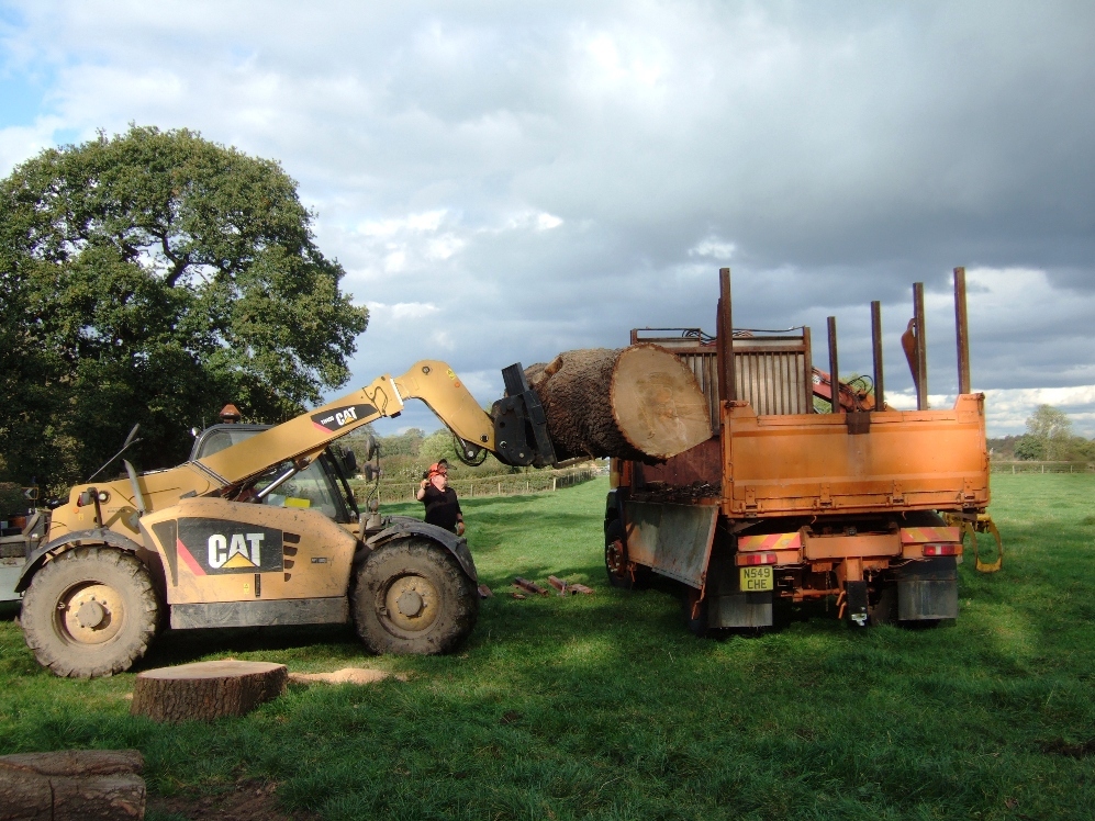Timber harvest from essential treework