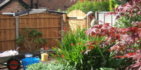 Landscaping services