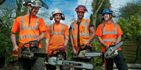 Tree surgery in Greater Manchester