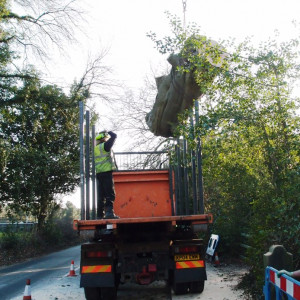 Timber feedstock from tree maintenance