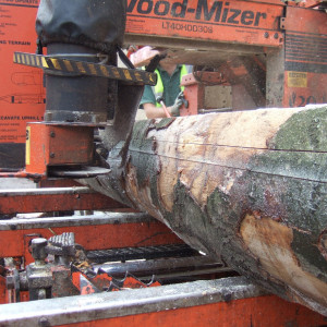 Milling timber on the Woodmizer bandsaw