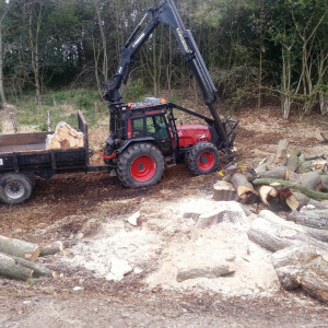 Site clearance and arisings extraction