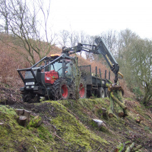 Woodland management in Greater Manchester