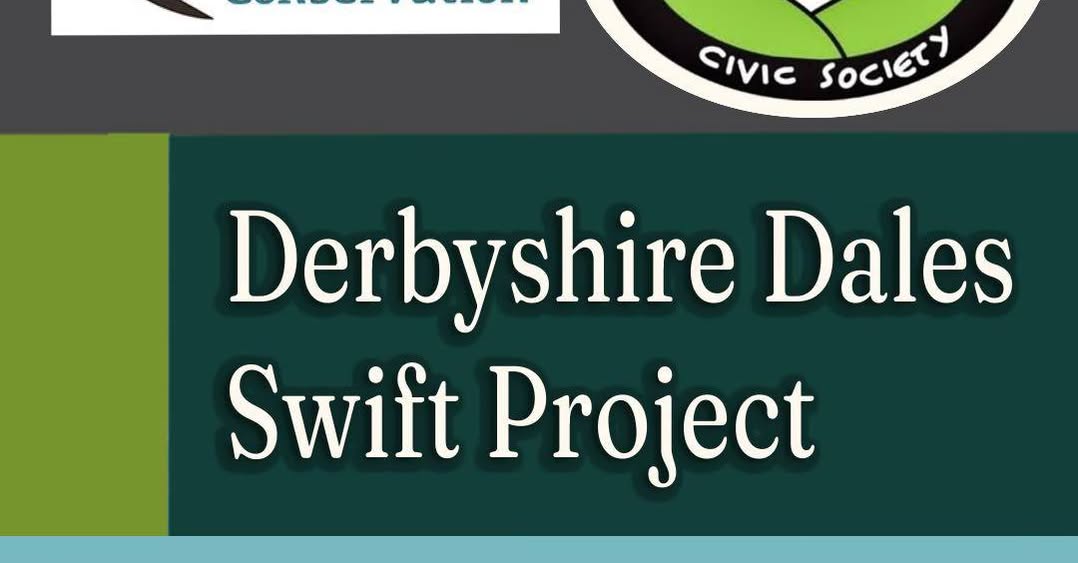 Civic Society Nature Talk About Swifts.